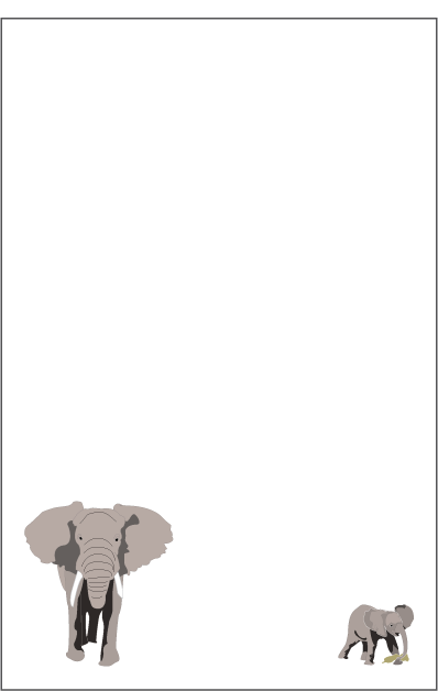 80070_Elephant_paper_lr.gif