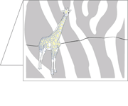 85071_Giraffe_stripes_sm.gif